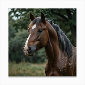 A Majestic Horse  Canvas Print