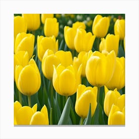 Yellow Lucky flowers Canvas Print