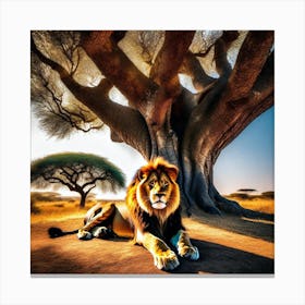 Lion Under A Tree 2 Canvas Print