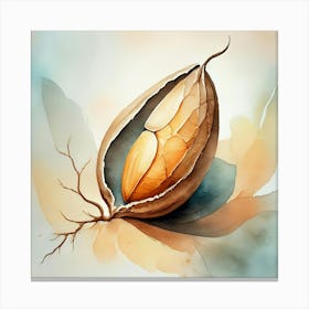 Watercolor Of A Walnut Canvas Print