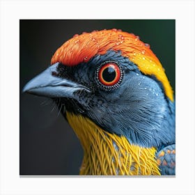 Colorful Bird 10 Canvas Print