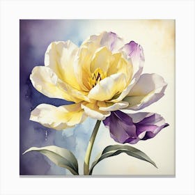 Tulip Flower Canvas Print