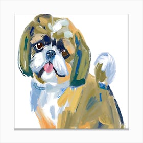 Shih Tzu 01 Canvas Print