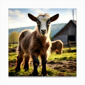 Field Domestic Agriculture Cute Nature Beautiful Rural Herd Farming Animal Farm Farm Anim (8) Canvas Print