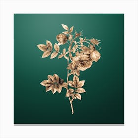 Gold Botanical Turnip Roses on Dark Spring Green n.4697 Canvas Print