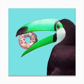 Sweet Toucan Square Canvas Print
