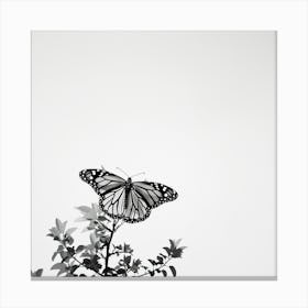 Black And White Butterfly Canvas Print