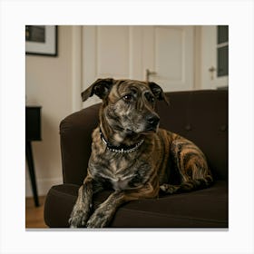 Dog Sitting On Couch Canvas Print