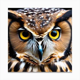Owl Face Canvas Print