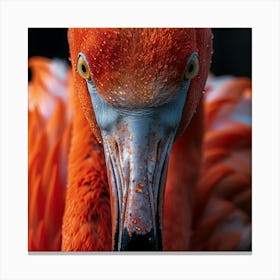 Flamingo 21 Canvas Print