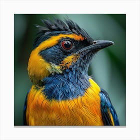 Blue-And-Yellow Bird 1 Canvas Print