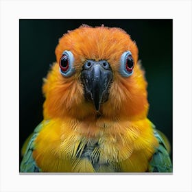 Parrot 12 Canvas Print