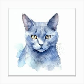 Belarusian Blue Cat Portrait 2 Canvas Print