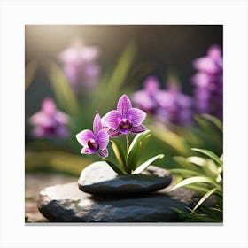 Purple Orchids On Rocks Canvas Print