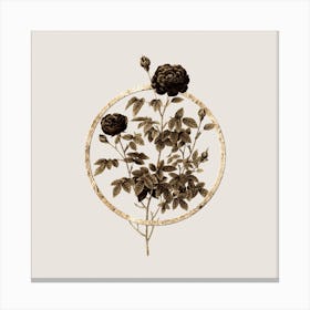 Gold Ring Burgundy Cabbage Rose Glitter Botanical Illustration n.0054 Canvas Print