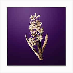 Gold Botanical Dutch Hyacinth on Royal Purple n.0392 Canvas Print