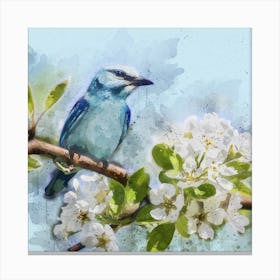 Blue Bird On A Branch Canvas Print