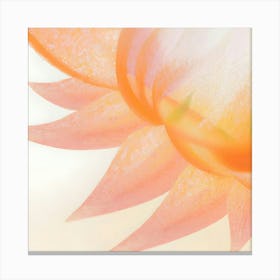 Lotus Flower 2 Canvas Print