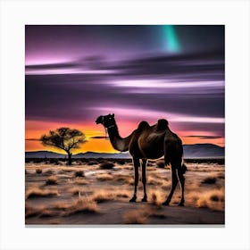 Camel In The Desert 2 Canvas Print