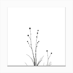 Grass Canvas Print