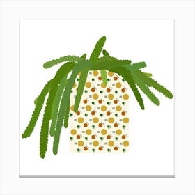 Cactus Canvas Print