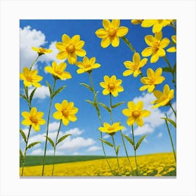 Yellow Flowers In A Field 1 Canvas Print