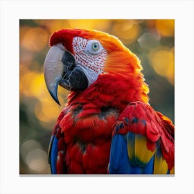 Red Macaw Parrot Canvas Print