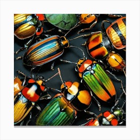 Beetles Canvas Print