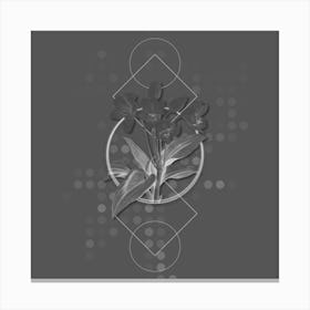 Vintage Crinum Giganteum Botanical with Line Motif and Dot Pattern in Ghost Gray n.0295 Canvas Print