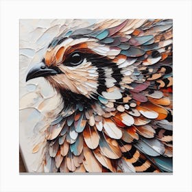 Quail 1 Canvas Print