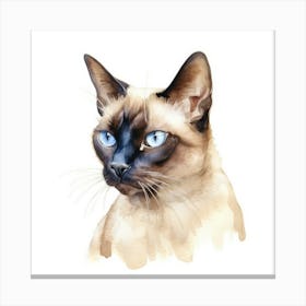 Classic Siamese Cat Portrait 3 Canvas Print