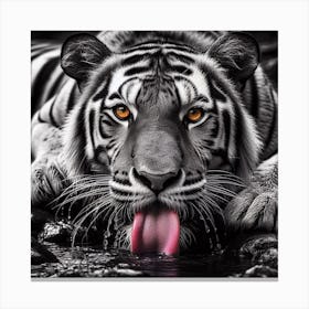 Tiger 3 Canvas Print