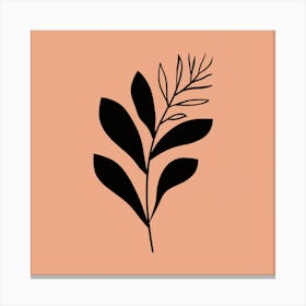 Leaf On A Peach Background Canvas Print