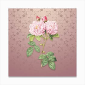 Vintage Italian Damask Rose Botanical on Dusty Pink Pattern n.1195 Canvas Print