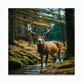 Deer In The Forest 6 Canvas Print