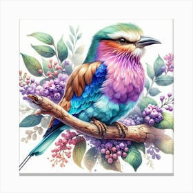 Lilac-breasted Roller Canvas Print