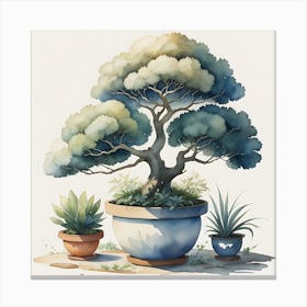 Bonsai Tree Canvas Print