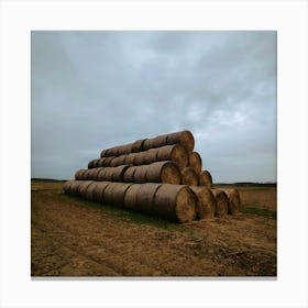 Poland rural Canvas Print