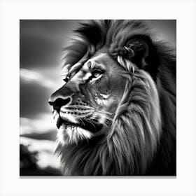 Lion Portrait 1 Canvas Print