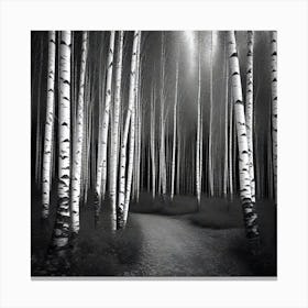 Birch Forest 43 Canvas Print