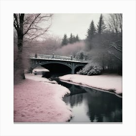 Pink Bridge In The Snow Landscape Canvas Print