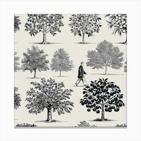 Landscape Trees Walk Canvas Print