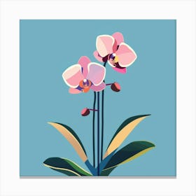 Pink Orchids 2 Canvas Print