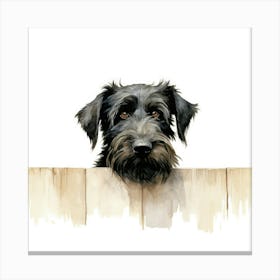 Schnauzer 6 Canvas Print