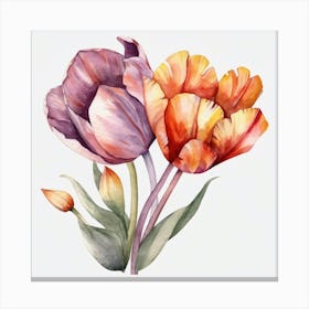 Watercolor Tulips 5 Canvas Print