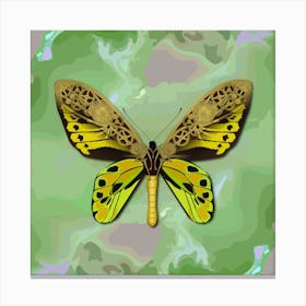 Mechanical Butterfly The Tithonus Birdwing Ornithoptera Tithonus On A Green Background Canvas Print