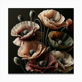 Poppies 10 Canvas Print