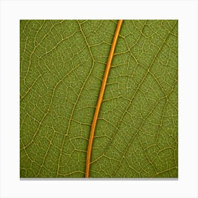 A Macro Shot Of A Textured Leaf With Intricate Vein Patterns Canvas Print