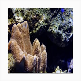 Real Views From The Depth Of The Sea 4 Canvas Print