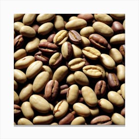 Coffee Beans 251 Canvas Print